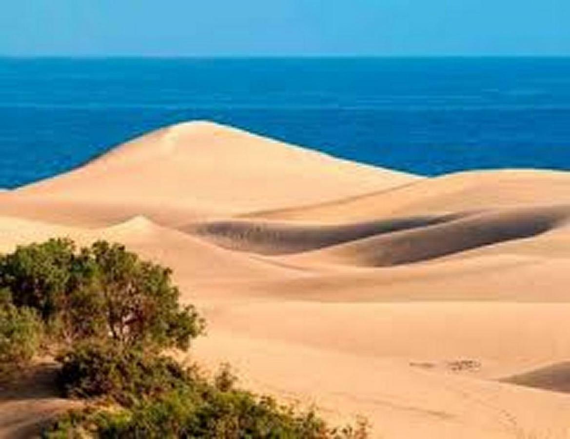 Bungalow Duna Flor Maspalomas Maspalomas  Luaran gambar